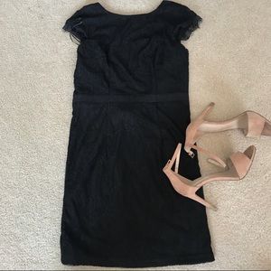 LBD
